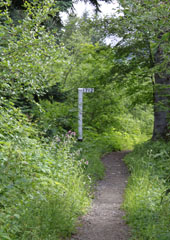Milepost 1713-1712, Iron Goat Trail