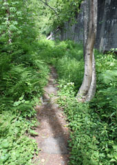 Milepost 1715-1714, Iron Goat Trail