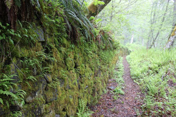 Milepost 1716-1715, Iron Goat Trail