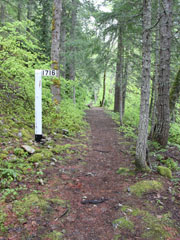 Milepost 1717-1716, Iron Goat Trail