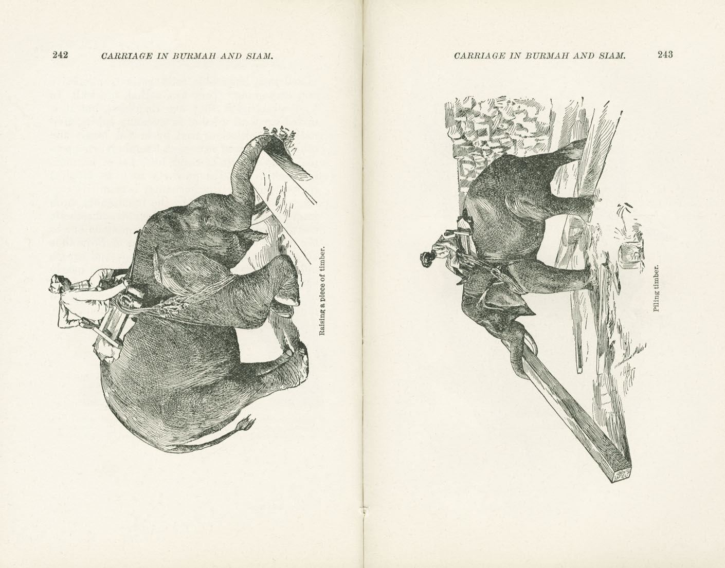 Science of Railways Vol XI