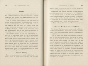 The Locomotive Up To date