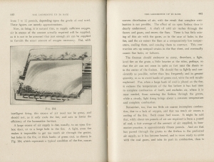 The Locomotive Up To date