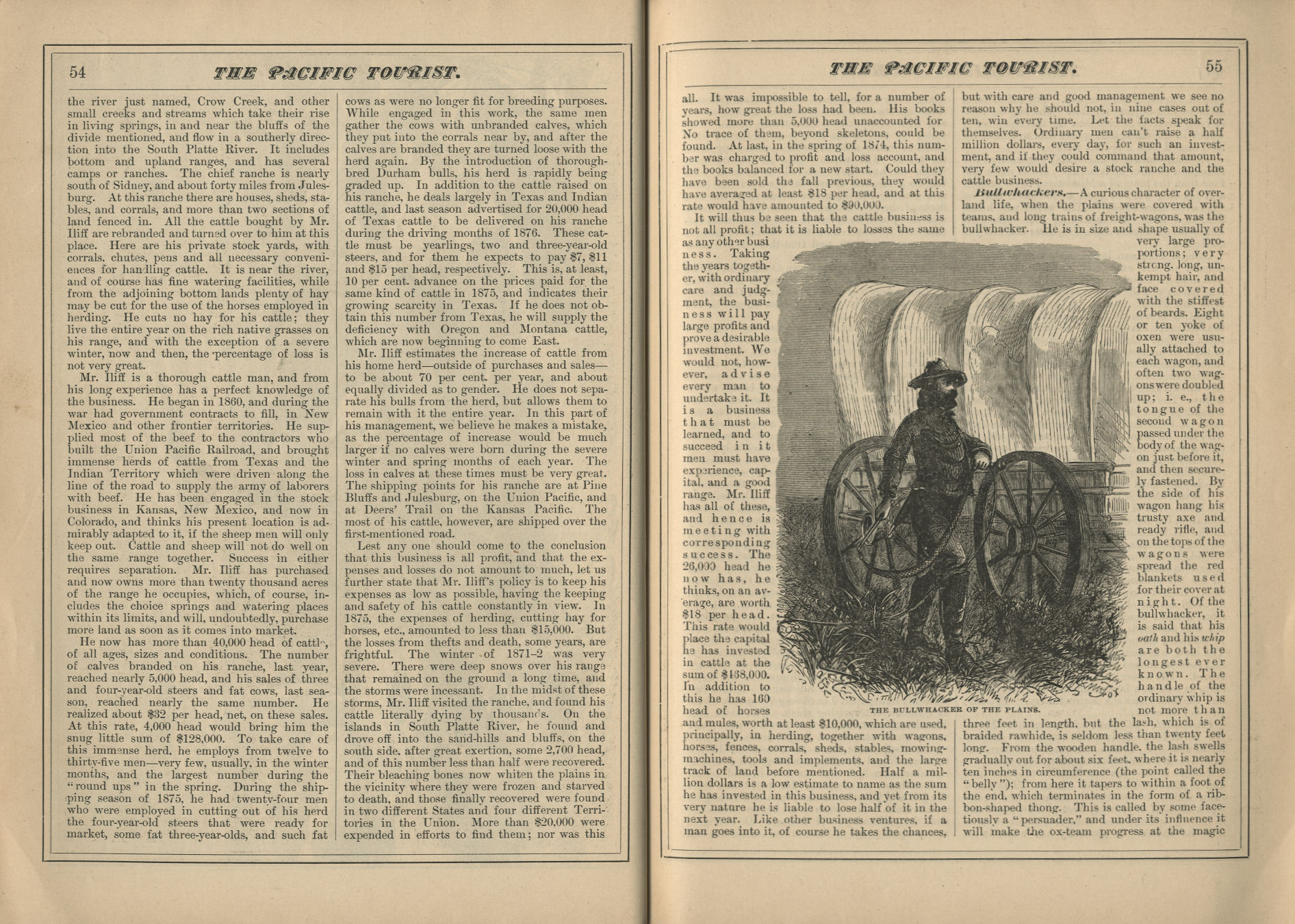 The Pacific Tourist
