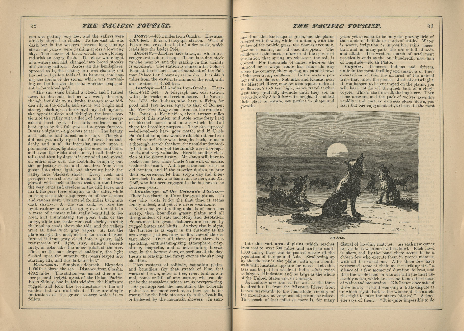 The Pacific Tourist