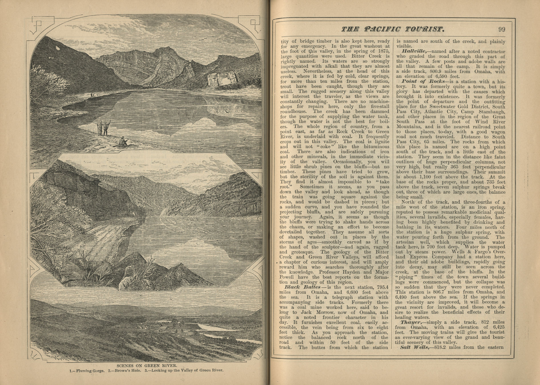 The Pacific Tourist