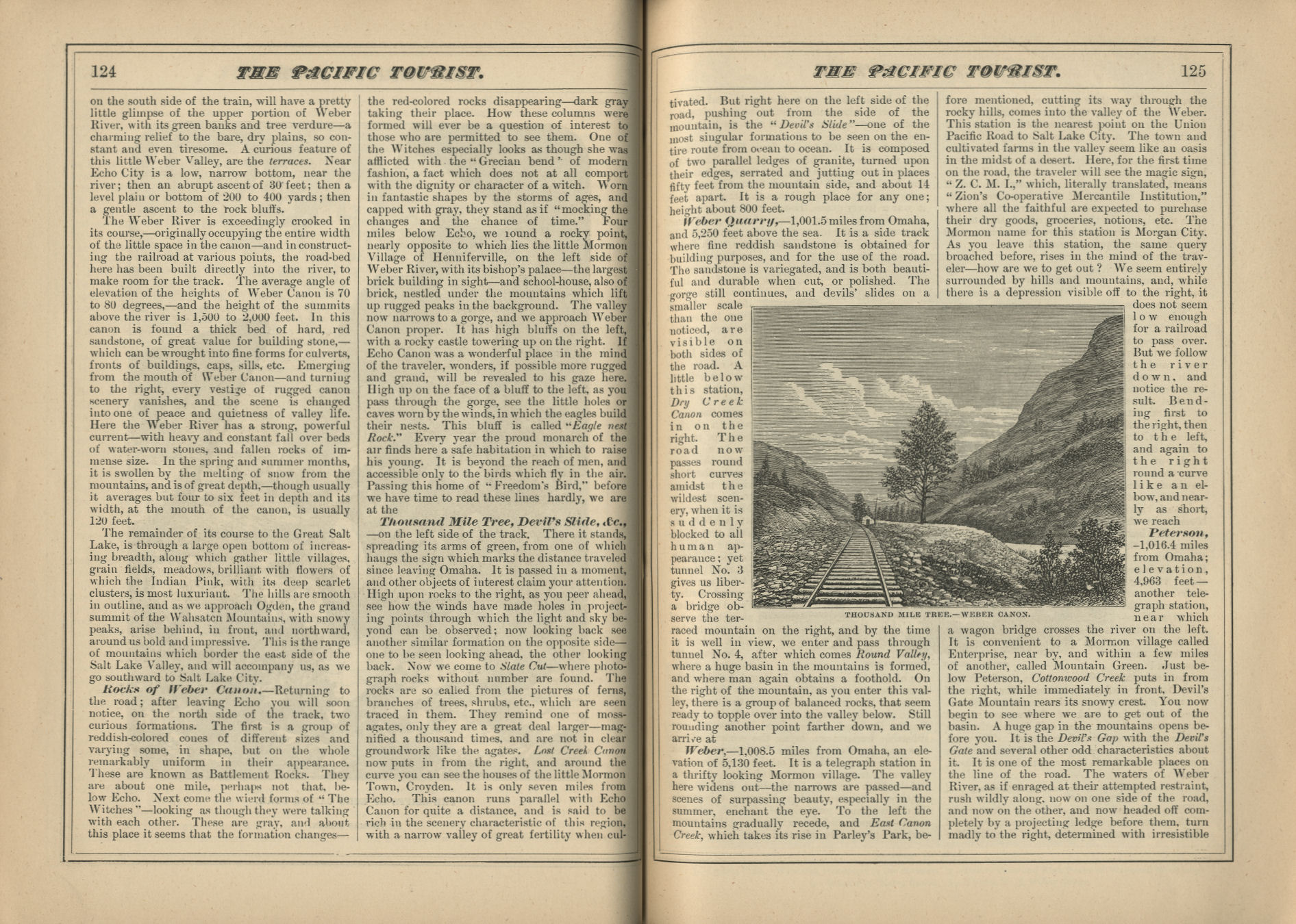 The Pacific Tourist