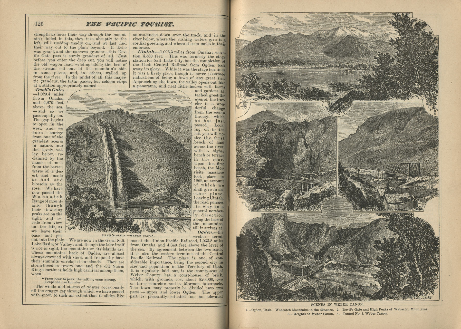 The Pacific Tourist