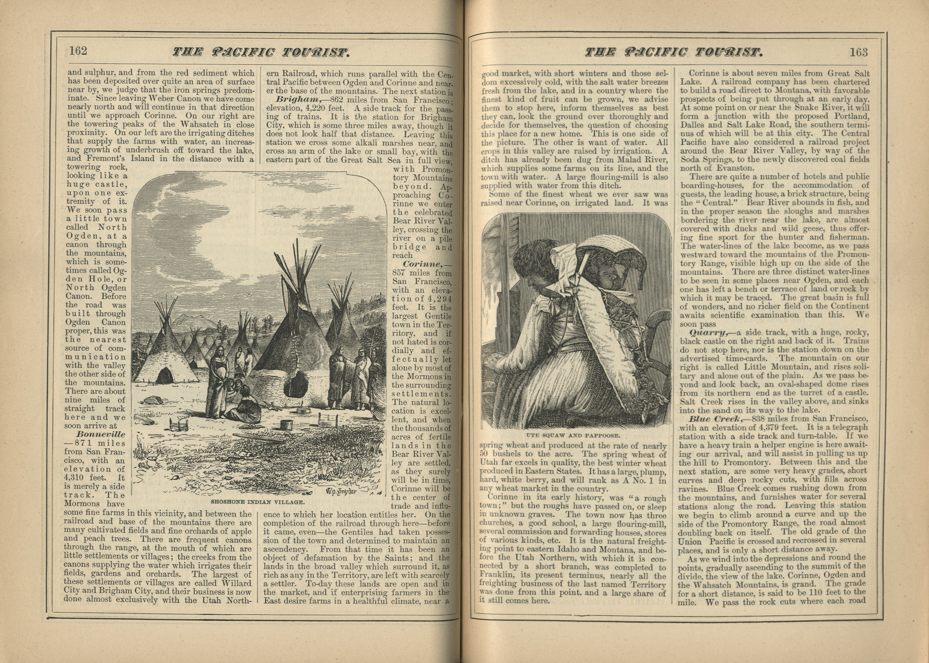 The Pacific Tourist