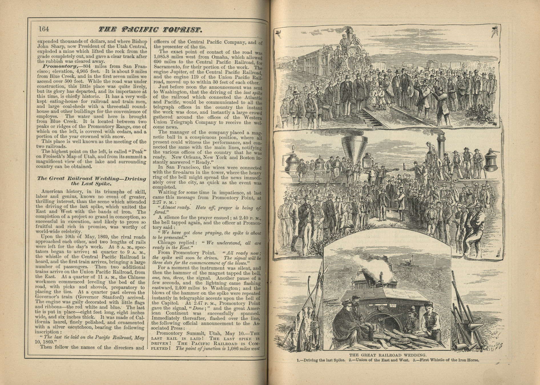 The Pacific Tourist