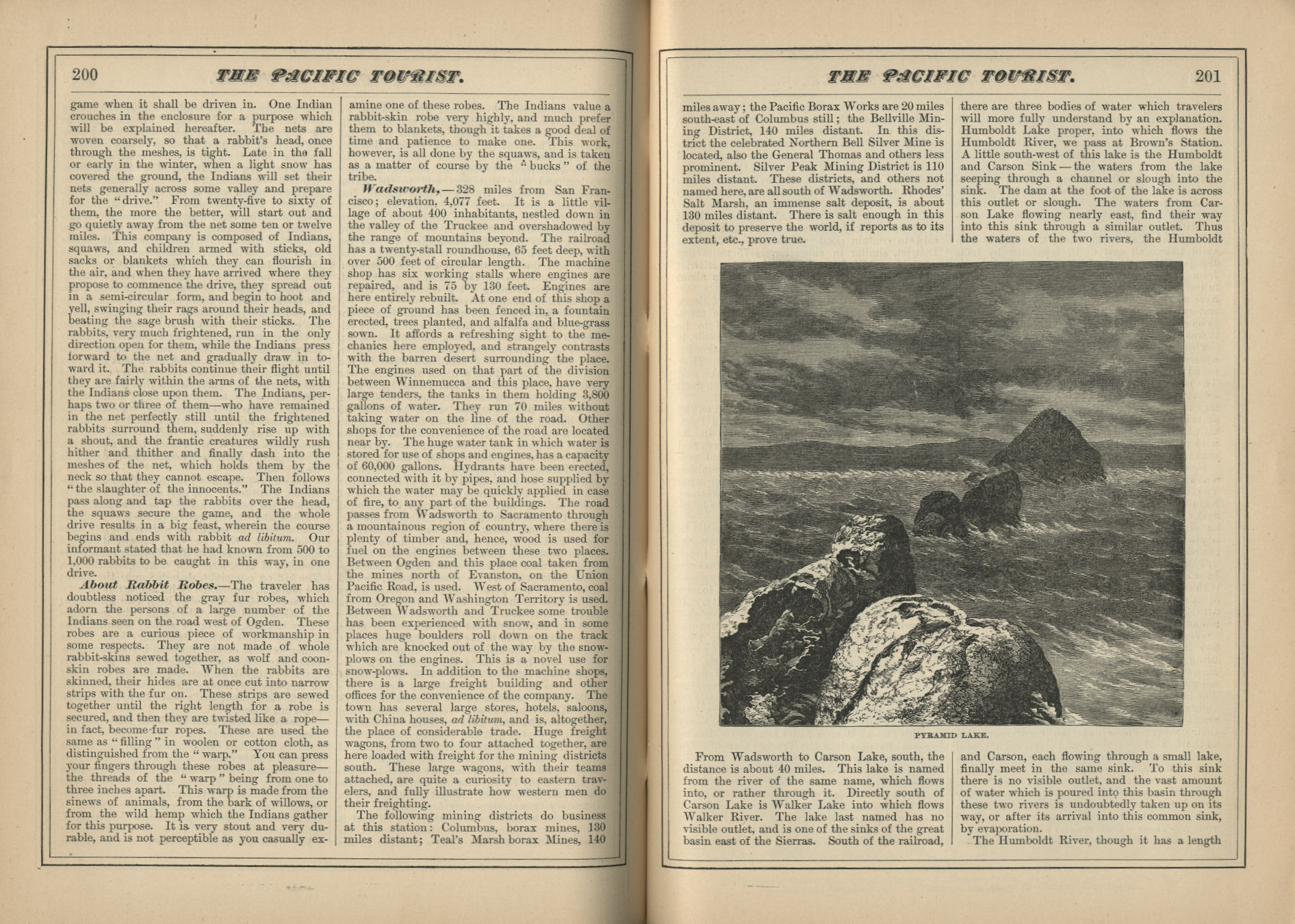 The Pacific Tourist