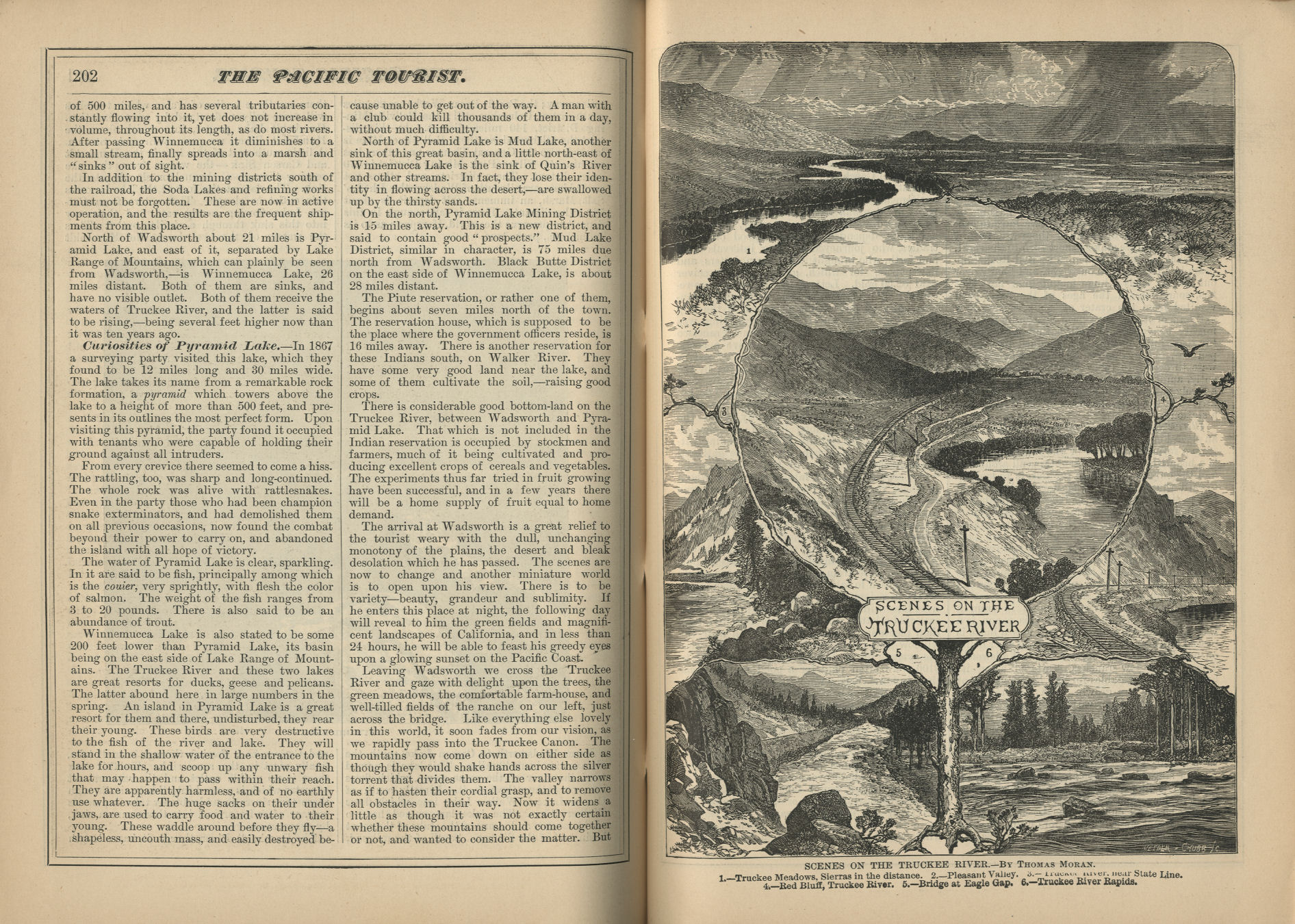 The Pacific Tourist