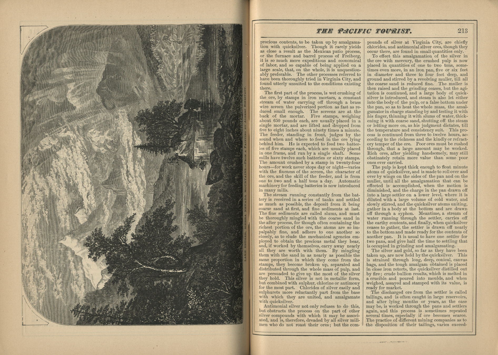 The Pacific Tourist