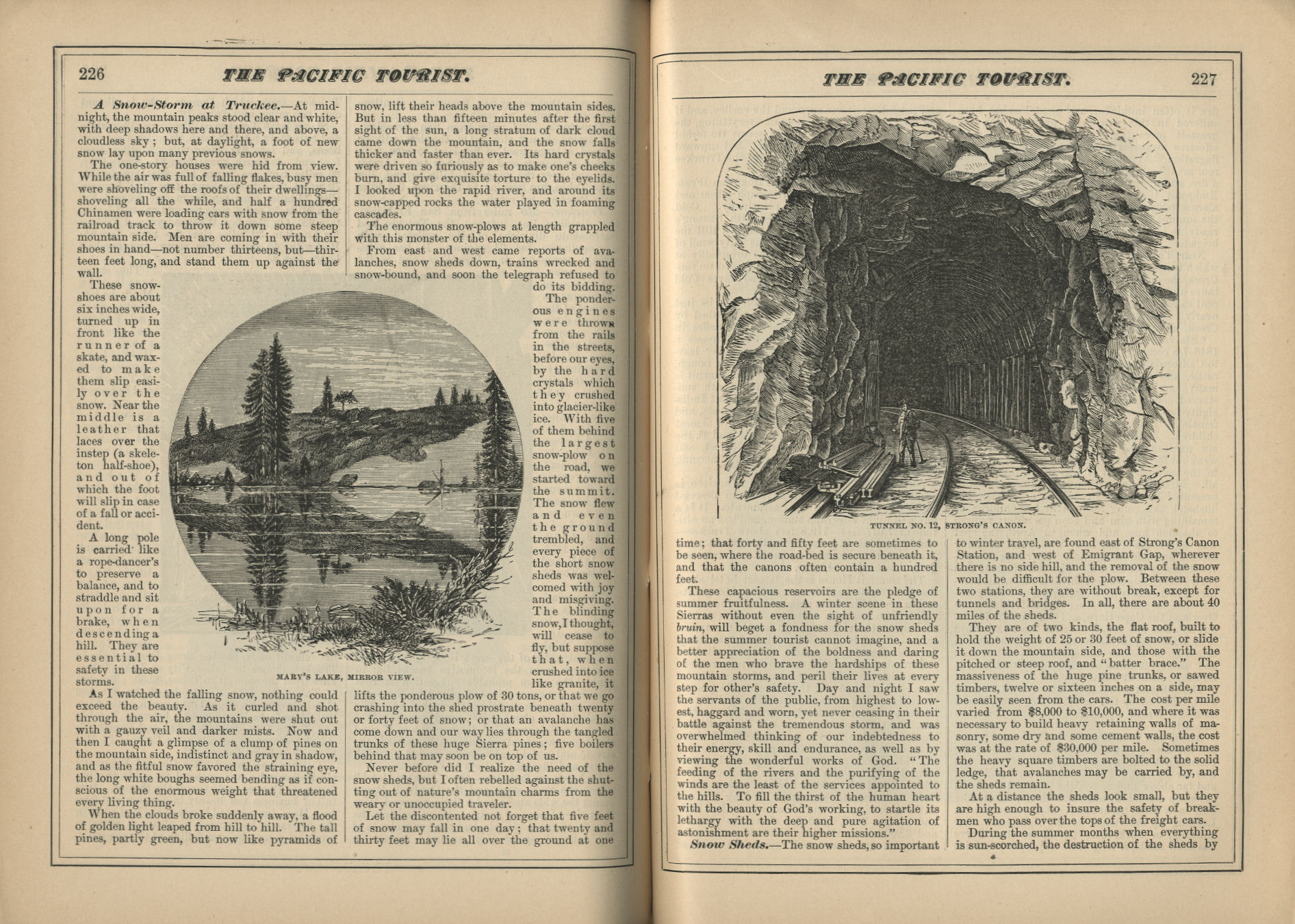 The Pacific Tourist
