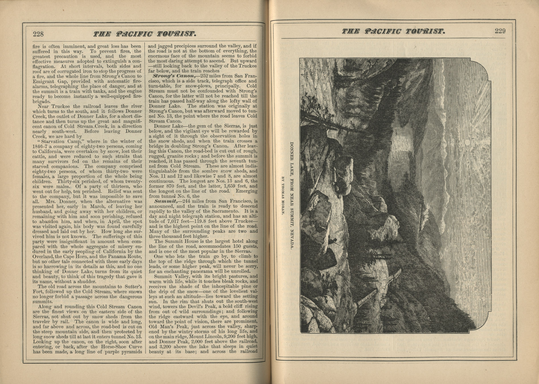 The Pacific Tourist