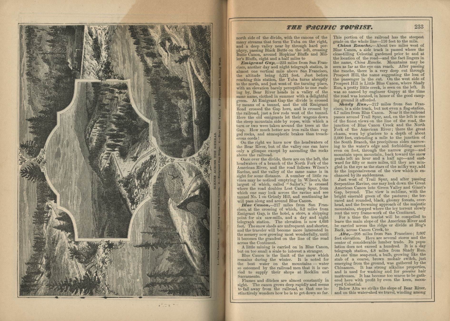 The Pacific Tourist