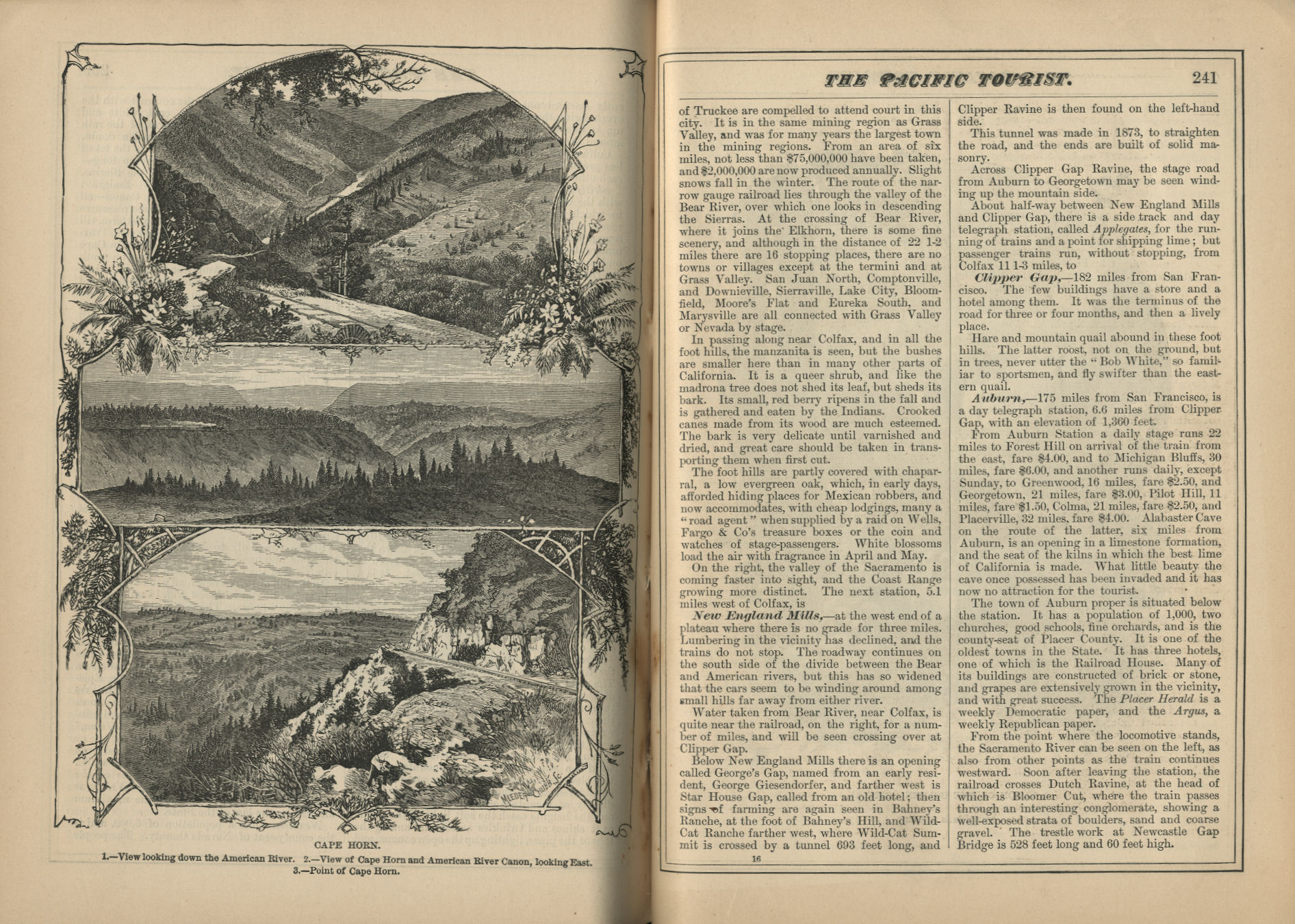 The Pacific Tourist