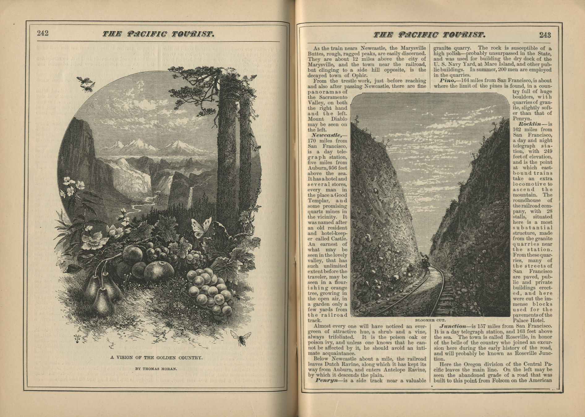 The Pacific Tourist