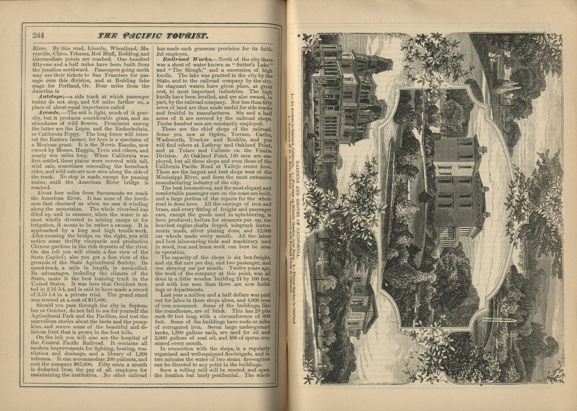 The Pacific Tourist