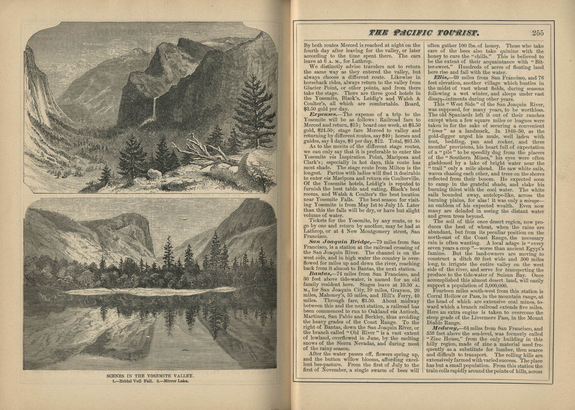 The Pacific Tourist
