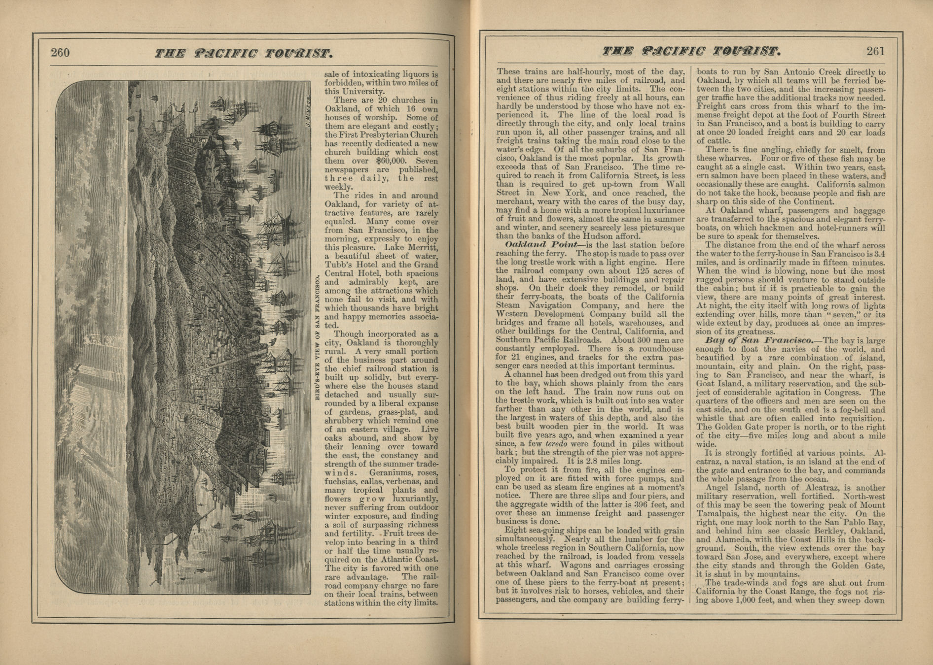 The Pacific Tourist