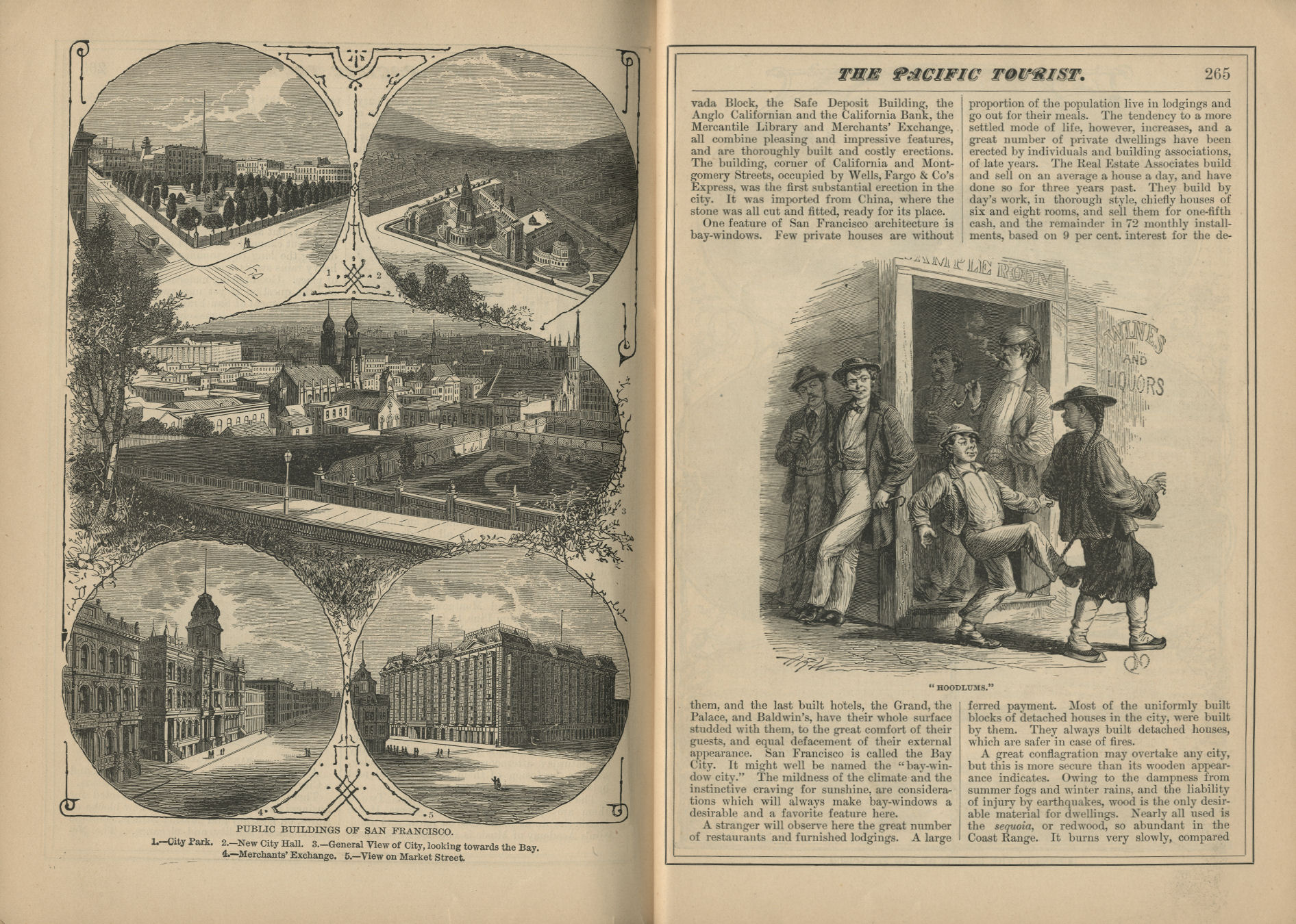 The Pacific Tourist