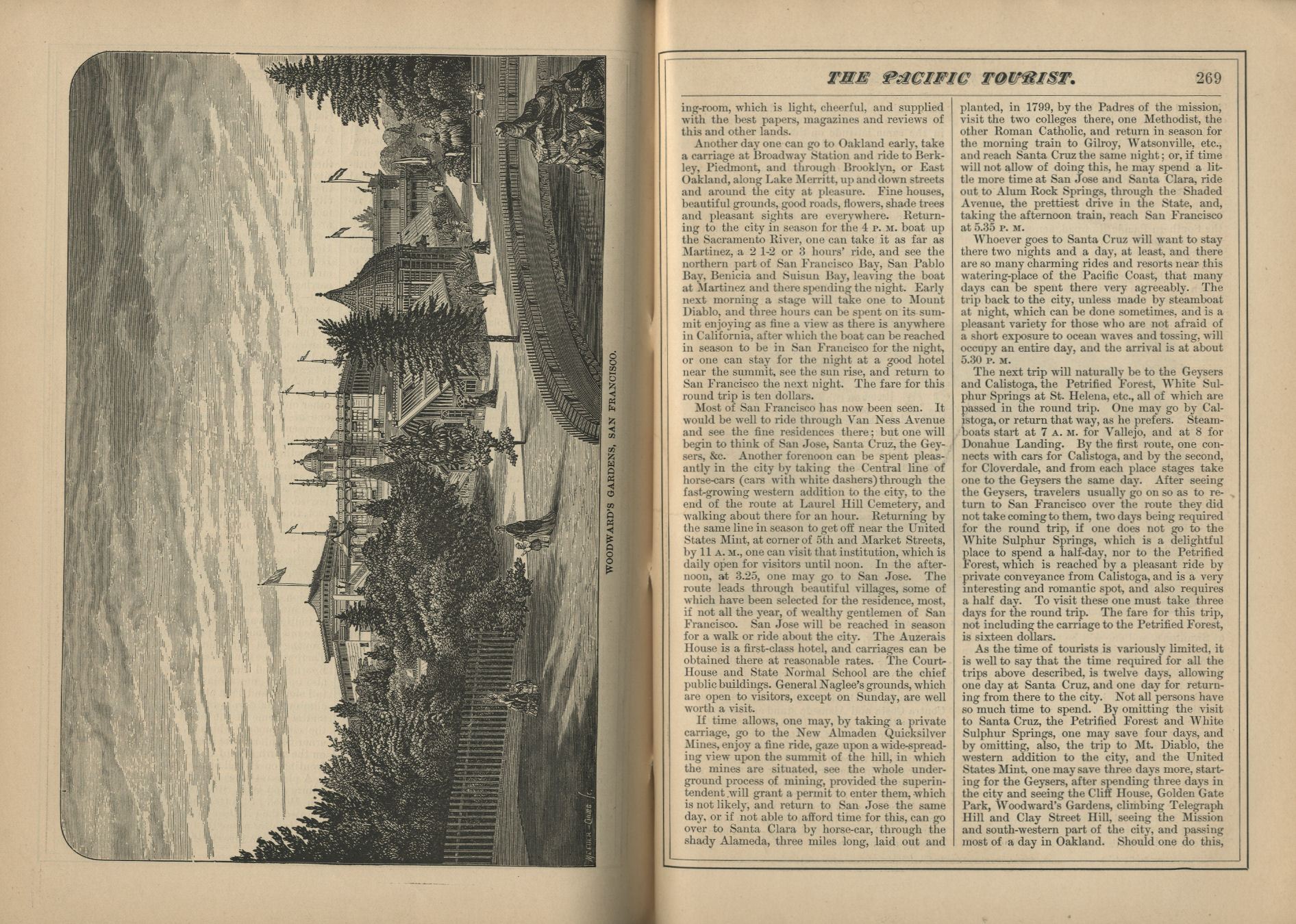 The Pacific Tourist