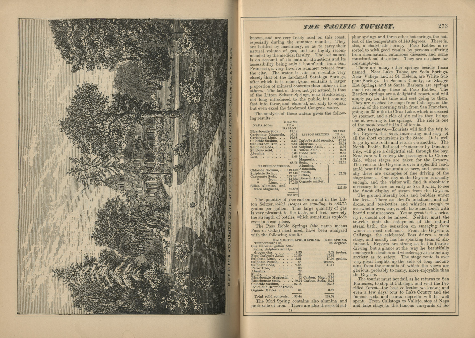The Pacific Tourist