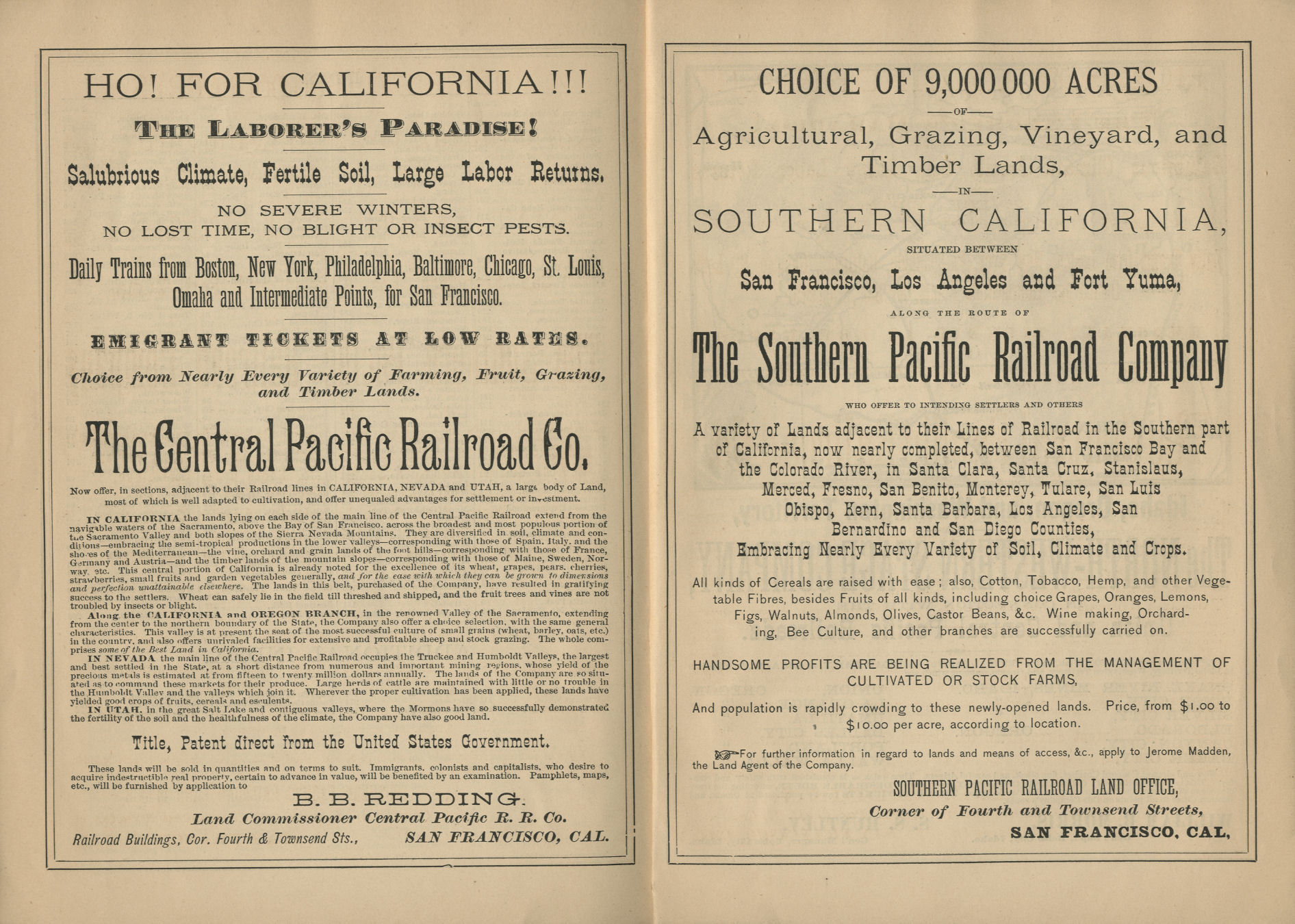 The Pacific Tourist