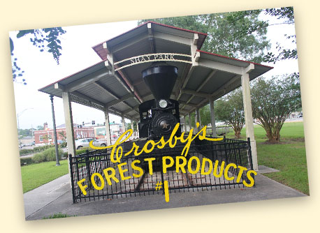 Crosby Forest Products #1 and Pearl River Valley MW01, Picayune MS