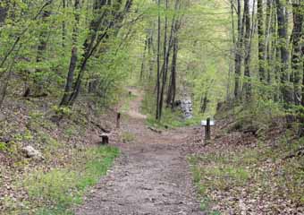 Five Mile Tree, Mauch Chunk Switchback