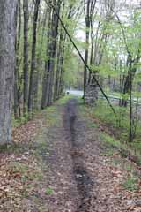 Five Mile Tree - Lentz Trail, Mauch Chunk Switchback
