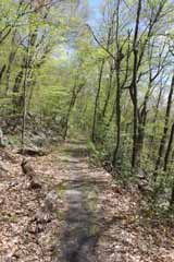 Hacklebernie Tunnel - Five Mile Tree, Mauch Chunk Switchback